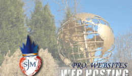 Web Hosting Company