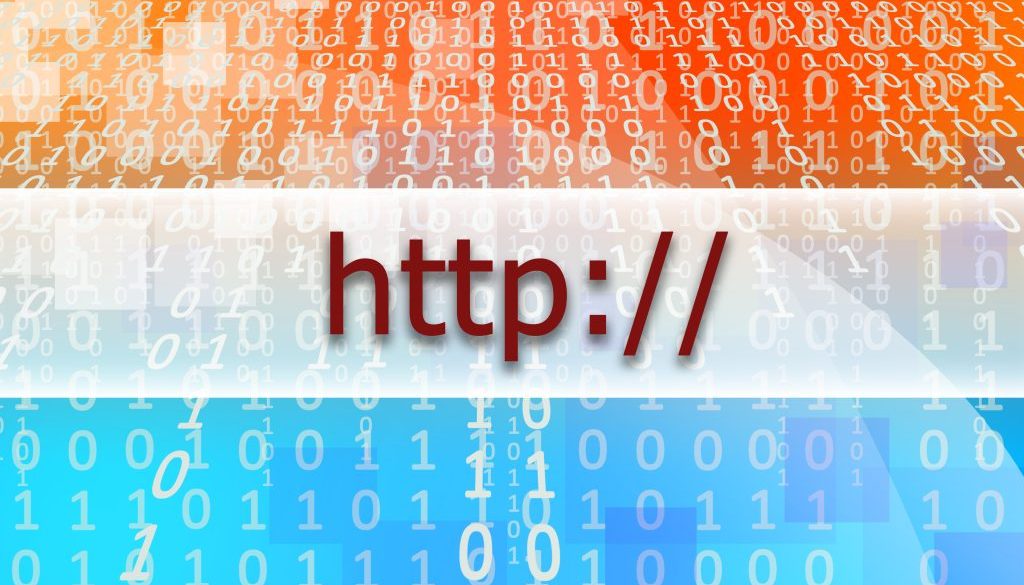Professional Website Designer Freelancer