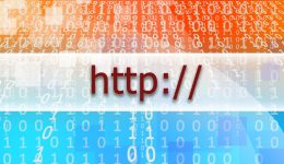 Professional Website Designer Freelancer
